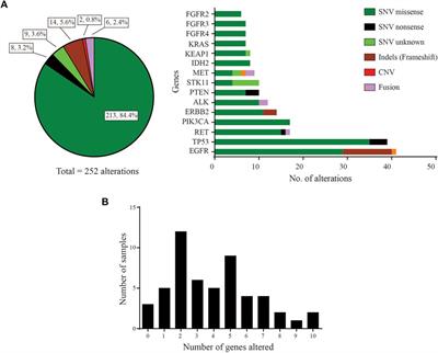 The landscape of actionable genomic alterations in lung adenocarcinomas in India